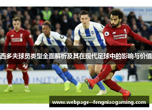 西多夫球员类型全面解析及其在现代足球中的影响与价值 西多夫球员类型全面解析及其在现代足球中的影响与价值