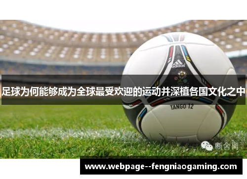 足球为何能够成为全球最受欢迎的运动并深植各国文化之中