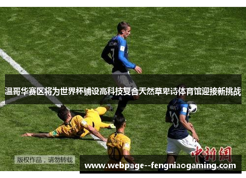 温哥华赛区将为世界杯铺设高科技复合天然草卑诗体育馆迎接新挑战 温哥华赛区将为世界杯铺设高科技复合天然草卑诗体育馆迎接新挑战