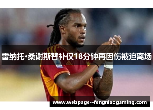 雷纳托·桑谢斯替补仅18分钟再因伤被迫离场 雷纳托·桑谢斯替补仅18分钟再因伤被迫离场