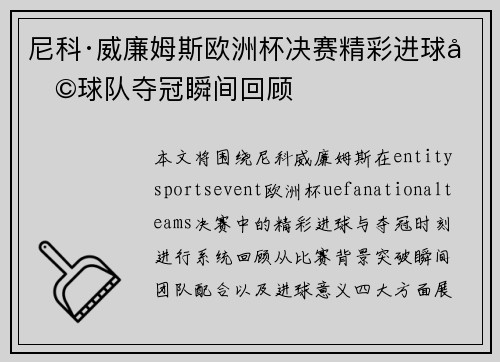 尼科·威廉姆斯欧洲杯决赛精彩进球助球队夺冠瞬间回顾
